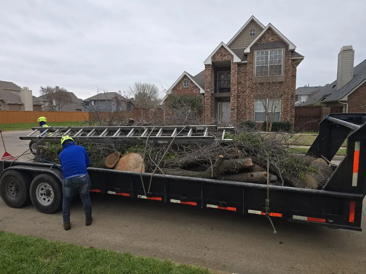 Expert Tree Fertilization with proper safety equipment in Demopolis